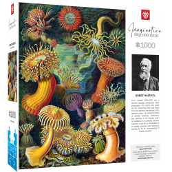 Puzzle Ernst Haeckel:...