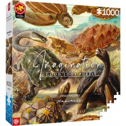 Puzzle Roch Ernst Haeckel...